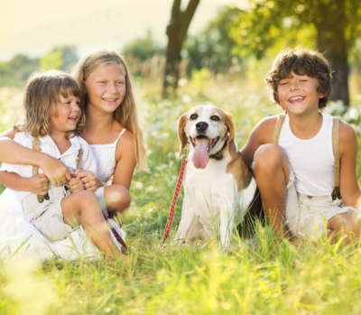 White dog with brown ears in the park with three girls in white shirt