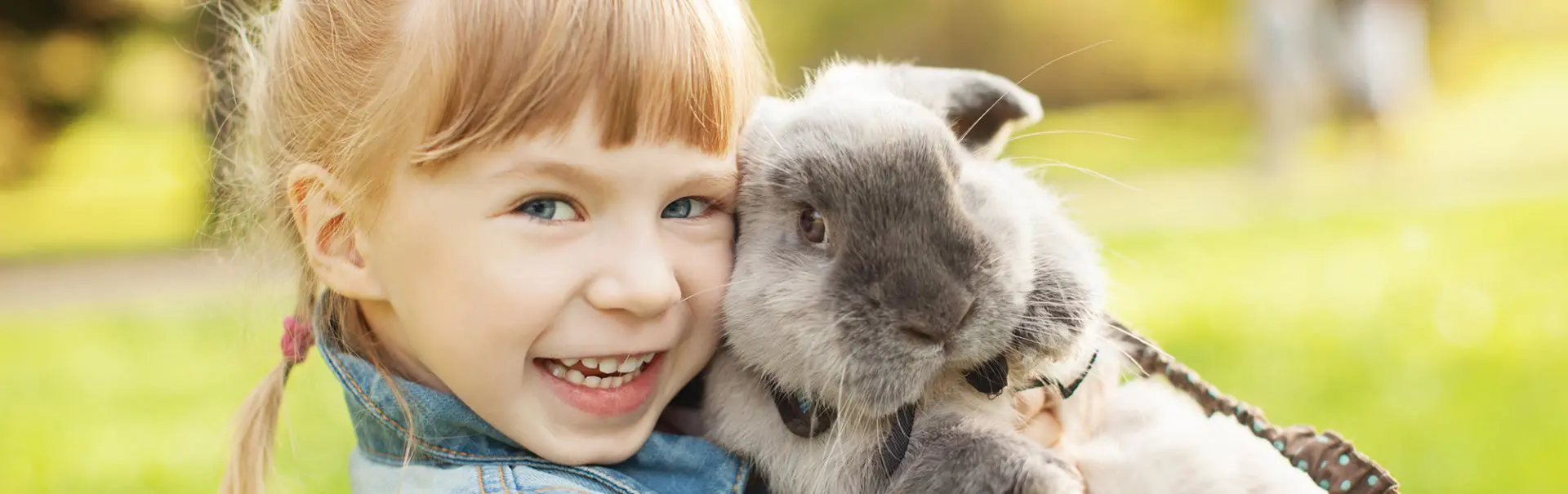 Fluffy Friends for Children with Chronic Conditions on LinkedIn